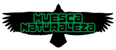 Huesca Naturaleza Logo